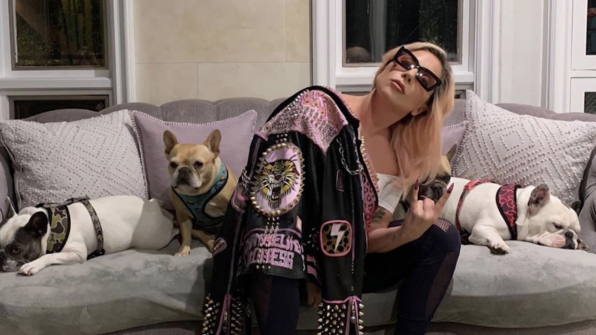 Lady Gaga and dogs